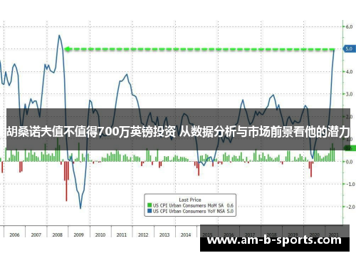 胡桑诺夫值不值得700万英镑投资 从数据分析与市场前景看他的潜力