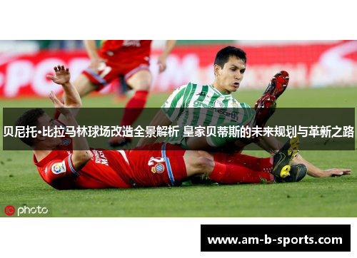 贝尼托·比拉马林球场改造全景解析 皇家贝蒂斯的未来规划与革新之路