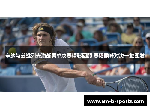 辛纳与兹维列夫激战男单决赛精彩回顾 赛场巅峰对决一触即发