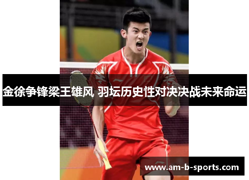 金徐争锋梁王雄风 羽坛历史性对决决战未来命运