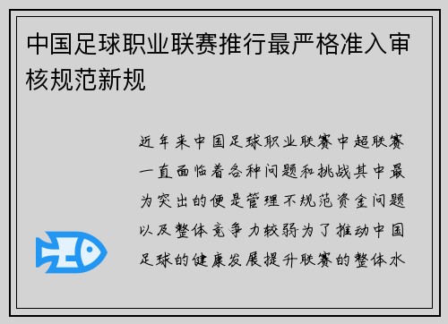 中国足球职业联赛推行最严格准入审核规范新规